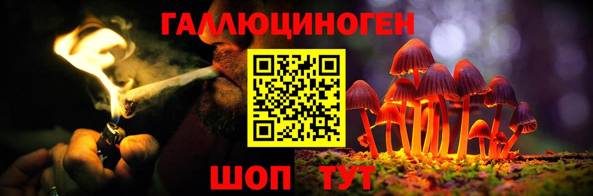 Псилоцибиновые грибы Psilocybine cubensis  Вход с VPN  Будённовск 